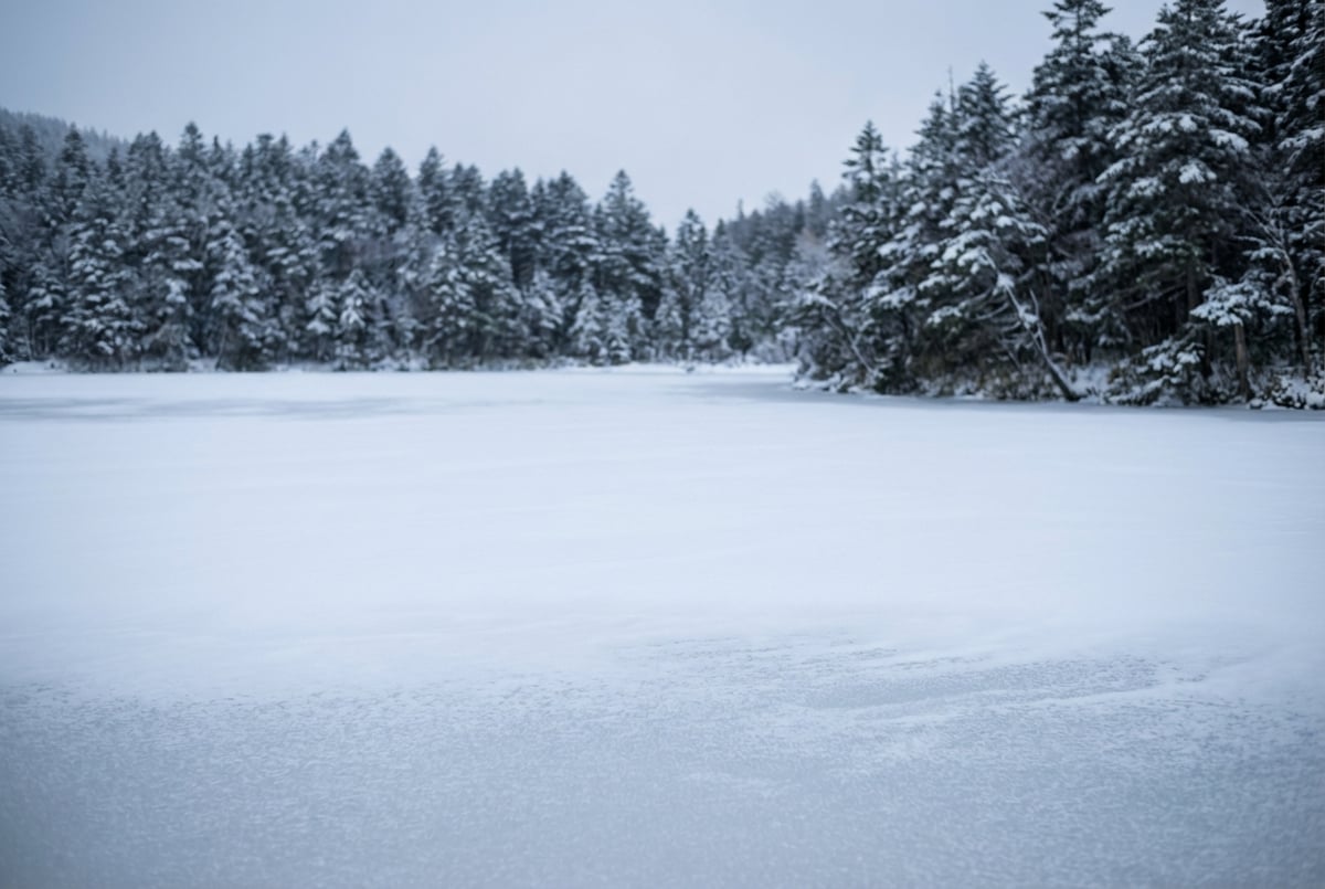 北八ヶ岳白駒池の冬景色、凍結した湖面と樹林帯